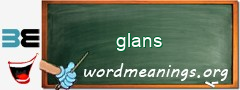 WordMeaning blackboard for glans